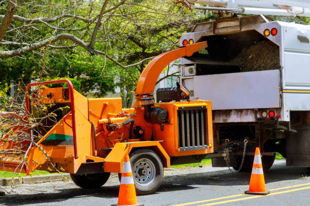 Mulching Services in Desert Edge, CA